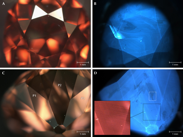 Figure 13. DiamondView images of the Winston Red’s table (A and B) and selected pavilion facets (C and D). The reference images on the left (A and C) and the fluorescence images on the right (B and D) were collected under white light and deep-UV illumination, respectively. The distribution of the blue N3 fluorescence reveals the diamond’s intrinsic growth pattern. The inset of an area outlined in black lines in D shows the graining features as best observed using the red filter (725 nm long-pass). Comparison of the diamond’s color for images A and C highlights its reversible photochromism, changing to a brown color following UV exposure. The white rectangle in D indicates a region that was further explored using photoluminescence mapping techniques. Images by Ulrika F.S. D’Haenens-Johansson.