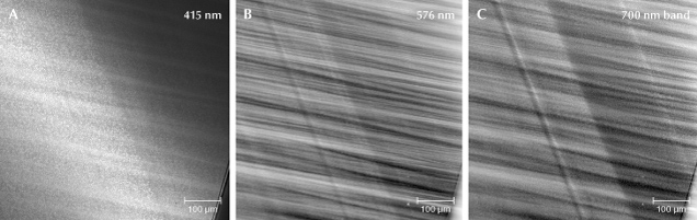 Figure 14. PL mapping of various spectroscopic features on the P2 facet defined in figure 7. On a small region near the facet junction on the right side of P2: peak area of the N3 ZPL at 415 nm normalized to the Raman peak area (A), peak area of the 576 nm ZPL (B), and emission area of the 625–677 nm region associated with the broad band centered at ~700 nm (C).